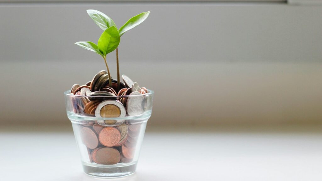 Financieel inzicht en duurzame groei verbeeld met plantje dat groeit uit een glas vol munten